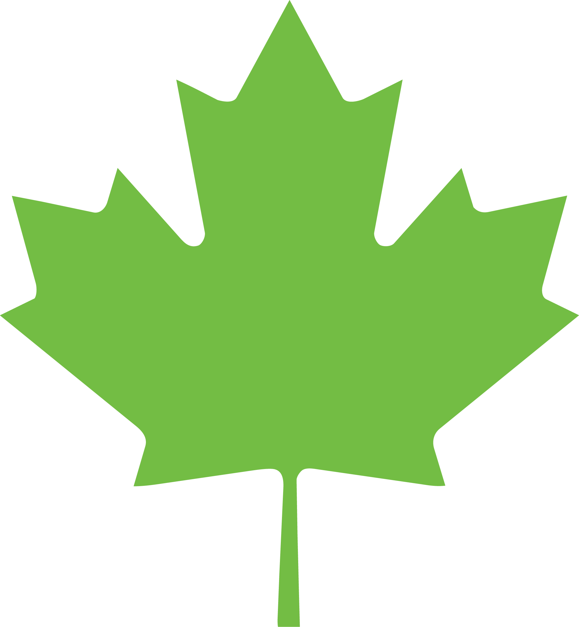 Maple Leaf Feuille d'érable verte (symbole du Canada)